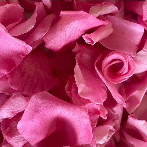 Freeze Dried Rose Petals - Pink Blend  Freeze dried rose petals, Dried  rose petals, Petals